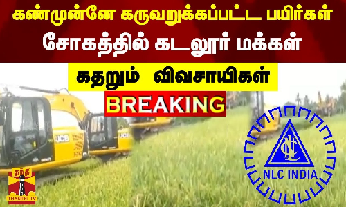 கண்முன்னே கருவறுக்கப்பட்ட பயிர்கள் - சோகத்தில் கடலூர் மக்கள்... கதறும் விவசாயிகள்
