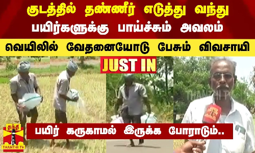 குடத்தில் தண்ணீர் எடுத்து வந்து பயிர்களுக்கு பாய்ச்சும் அவலம் - வெயிலில் வேதனையோடு பேசும் விவசாயி...பயிர் கருகாமல் இருக்க போராடும்..