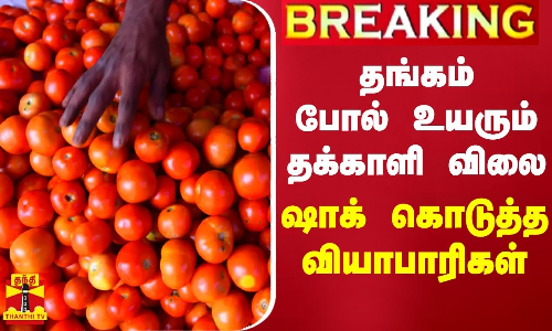 #BREAKING || தங்கம் போல் உயரும் தக்காளி விலை - ஷாக் கொடுத்த வியாபாரிகள் | Tomato price