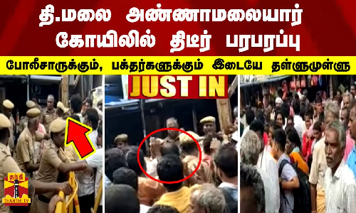 தி.மலை அண்ணாமலையார் கோயிலில் திடீர் பரபரப்பு - போலீசாருக்கும், பக்தர்களுக்கும் இடையே தள்ளுமுள்ளு