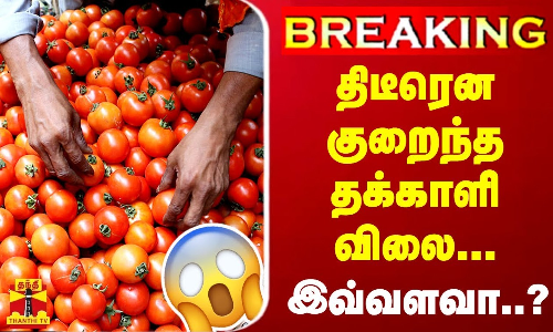 #BREAKING || திடீரென குறைந்த தக்காளி விலை... இவ்வளவா ? | Tomato Price | Tamilnadu