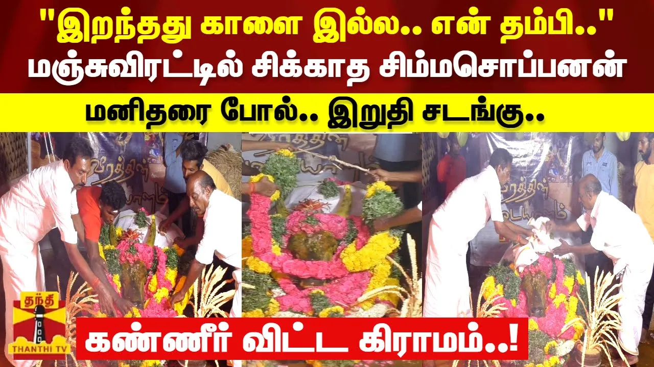 இறந்தது காளை இல்ல.. என் தம்பி..  மஞ்சுவிரட்டில் சிக்காத சிம்மசொப்பனன்   மனிதரை போல்.. இறுதி சடங்கு..  கண்ணீர் விட்ட கிராமம்..!