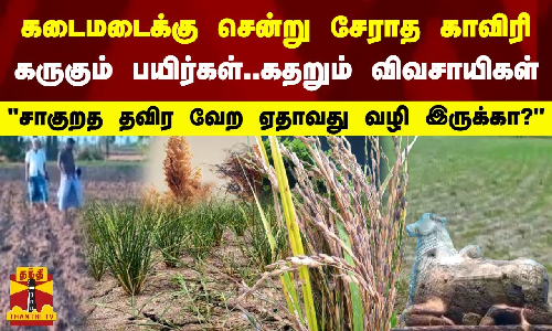 கடைமடைக்கு சென்று சேராத காவிரி - கருகும் பயிர்கள்.. கதறும் விவசாயிகள்...சாகுறத தவிர வேற ஏதாவது