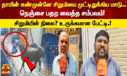 தாயின் கண்முன்னே சிறுமியை முட்டிதுக்கிய மாடு..சிறுமியின் நிலை? உருக்கமான பேட்டி.!