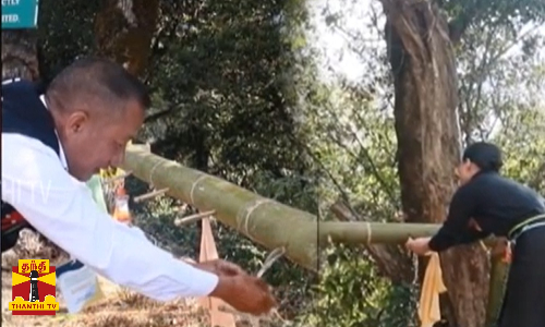 மூங்கிலால் உருவான வாஷ்பேசின்கள்