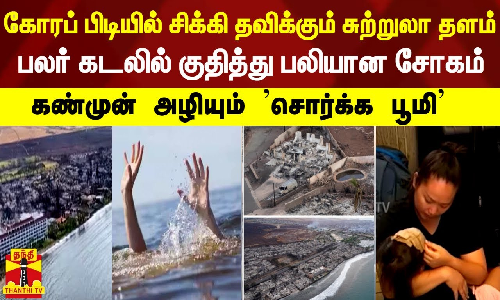 கோரப் பிடியில் சிக்கி தவிக்கும் சுற்றுலா தளம்-பலர் கடலில் குதித்து பலியான சோகம்-கண்முன் அழியும் சொர்க்க பூமி