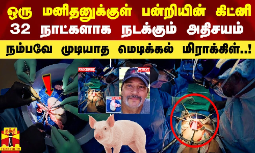 ஒரு மனிதனுக்குள் பன்றியின் கிட்னி.. 32 நாட்களாக நடக்கும் அதிசயம் - மெடிக்கல் மிராக்கிள்..!