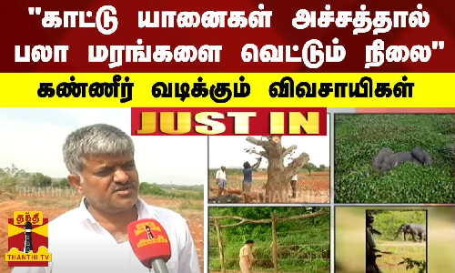 காட்டு யானைகள் அச்சத்தால்பலா மரங்களை வெட்டும் நிலை - கண்ணீர் வடிக்கும் விவசாயிகள்