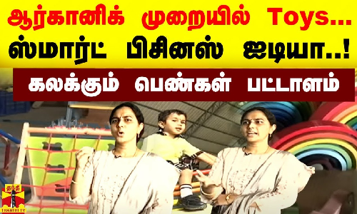 ஆர்கானிக் முறையில் Toys...ஸ்மார்ட் பிசினஸ் ஐடியா..கலக்கும் பெண்கள் பட்டாளம்