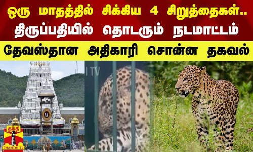ஒரு மாதத்தில் சிக்கிய 4 சிறுத்தைகள்..திருப்பதியில் தொடரும் நடமாட்டம் -தேவஸ்தான அதிகாரி சொன்ன தகவல்