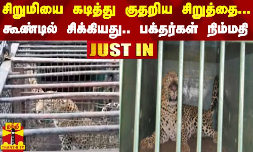 #JUSTIN || சிறுமியை கடித்து குதறிய சிறுத்தை... கூண்டில் சிக்கியது.. பக்தர்கள் நிம்மதி | Tirupati #JUSTIN || சிறுமியை கடித்து குதறிய சிறுத்தை... கூண்டில் சிக்கியது.. பக்தர்கள் நிம்மதி | Tirupati