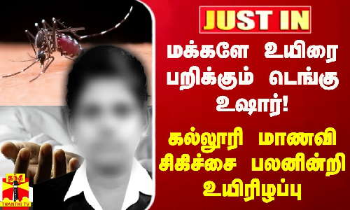 மக்களே உயிரை பறிக்கும் டெங்கு உஷார்! - கல்லூரி மாணவி சிகிச்சை பலனின்றி  உயிரிழப்பு