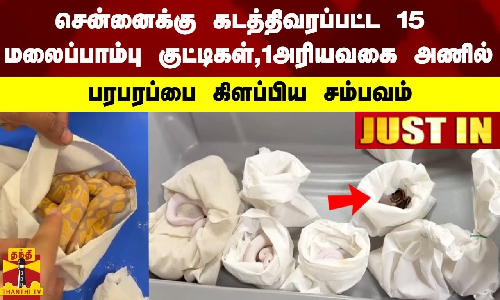 #JUSTIN||சென்னைக்கு கடத்திவரப்பட்ட 15மலைப்பாம்பு  குட்டிகள் ,1அரியவகை அணில்பரபரப்பை கிளப்பிய சம்பவம்