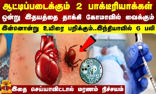 இந்தியாவை ஆட்டிப்படைக்கும் 2 பாக்டீரியா.. இதயத்தை தாக்கி கோமாவில் வைக்கும்.. உயிரையே பறிக்கும்