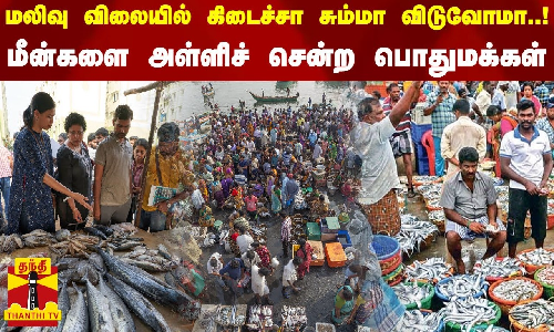 மலிவு விலையில் கிடைச்சா சும்மா விடுவோமா.. மீன்களை அள்ளிச் சென்ற பொதுமக்கள்! | Kasimedu Fish Market