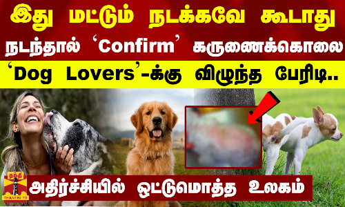 இது மட்டும் நடக்கவே கூடாதுநடந்தால் Confirm கருணைக்கொலைDog Lovers-க்கு விழுந்த பேரிடி..