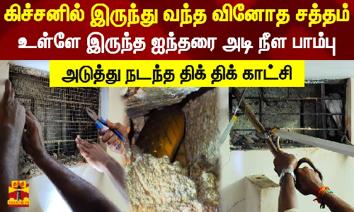 கிச்சனில் இருந்து வந்த வினோத சத்தம்.. உள்ளே இருந்த ஐந்தரை அடி நீள பாம்பு