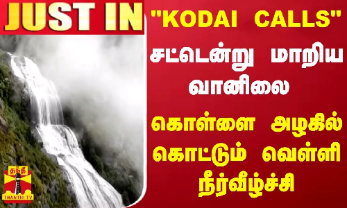 KODAI CALLS - சட்டென்று மாறிய வானிலை.. கொள்ளை அழகில் கொட்டும் வெள்ளி நீர்வீழ்ச்சி..