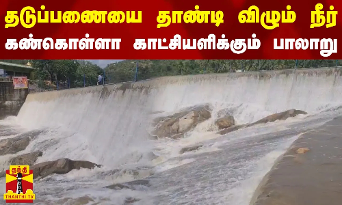 தடுப்பணையை தாண்டி விழும் நீர் - கண்கொள்ளா காட்சியளிக்கும் பாலாறு