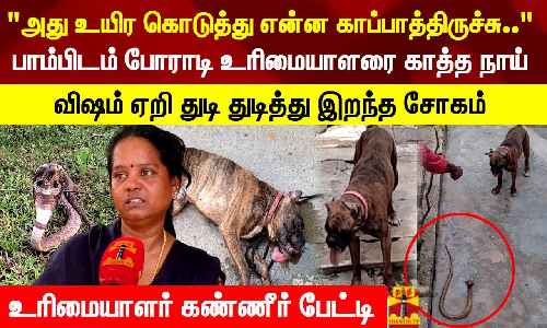 அது உயிர கொடுத்து என்ன காப்பாத்திருச்சு.. பாம்பிடம் போராடி உரிமையாளரை காத்த நாய்..