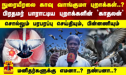 நுரையீரலை காவு வாங்குமா புறாக்கள்..?பிரதமர் பாராட்டிய புறாக்களின் காதலன் சொல்லும் பரபரப்பு பின்னணி