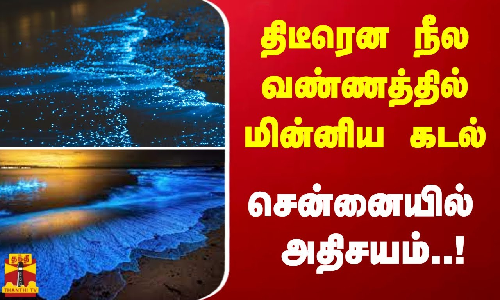 திடீரென நீல வண்ணத்தில் மின்னிய கடல். சென்னையில் அதிசயம்..!