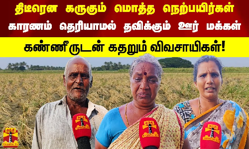 திடீரென கருகும் மொத்த நெற்பயிர்கள் காரணம் தெரியாமல் கண்ணீருடன் கதறும் விவசாயிகள்! திடீரென கருகும் மொத்த நெற்பயிர்கள் காரணம் தெரியாமல் கண்ணீருடன் கதறும் விவசாயிகள்!