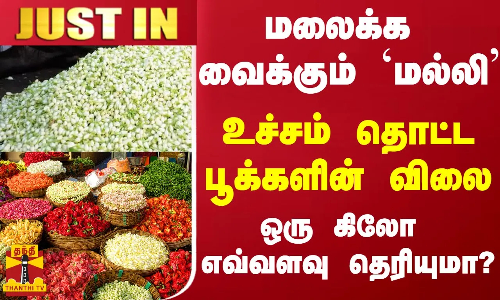 #JUSTIN || மலைக்க வைக்கும் மல்லி.. உச்சம் தொட்ட பூக்களின் விலை - ஒரு கிலோ எவ்வளவு தெரியுமா..? #JUSTIN || மலைக்க வைக்கும் மல்லி.. உச்சம் தொட்ட பூக்களின் விலை - ஒரு கிலோ எவ்வளவு தெரியுமா..?