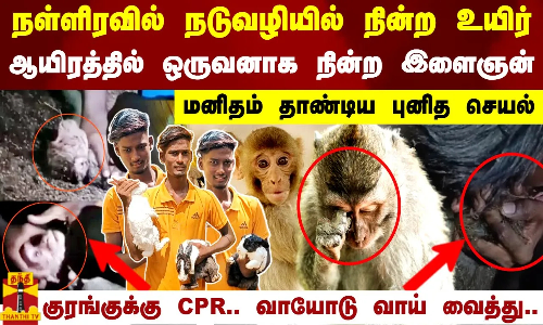 நள்ளிரவில் நடுவழியில் நின்ற உயிர்.. குரங்குக்கு CPR.. வாயோடு வாய் வைத்து..மனிதம் தாண்டிய புனித செயல்