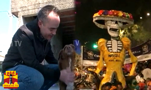 கின்னஸ் சாதனை படைத்த நாய்..