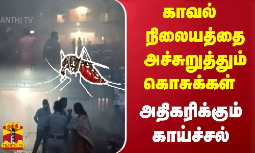 காவல் நிலையத்தை அச்சுறுத்தும் கொசுக்கள்  - அதிகரிக்கும் காய்ச்சல்