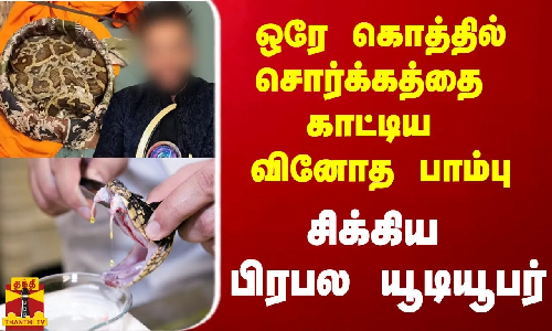 ஒரே கொத்தில் சொர்க்கத்தை காட்டிய வினோத பாம்பு - சிக்கிய பிரபல யூடியூபர்