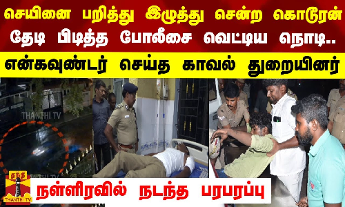 செயினை பறித்து இழுத்து சென்ற கொடூரன் தேடி பிடித்த போலீசை வெட்டிய நொடி..
