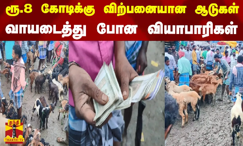 ரூ.8 கோடிக்கு விற்பனையான ஆடுகள்..  வாயடைத்து போன வியாபாரிகள்