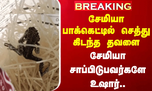 #BREAKING || சேமியா பாக்கெட்டில் செத்து கிடந்த தவளை.. சேமியா சாப்பிடுபவர்களே உஷார்