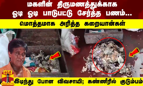 மகளின் திருமணத்துக்காக பாடுபட்டு சேர்த்த பணம்... மொத்தமாக அரித்த கறையான்கள் !கண்ணீரில் விவசாயி