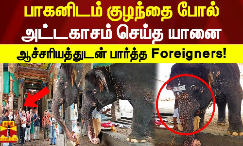 பாகனிடம் குழந்தை போல் அட்டகாசம் செய்த கோவில் யானை ஆச்சரியத்துடன் பார்த்த Foreigners!