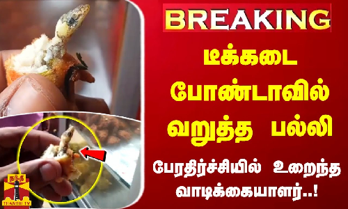 #BREAKING | டீக்கடை போண்டாவில் வறுத்த பல்லி - பேரதிர்ச்சியில் உறைந்த வாடிக்கையாளர்..!
