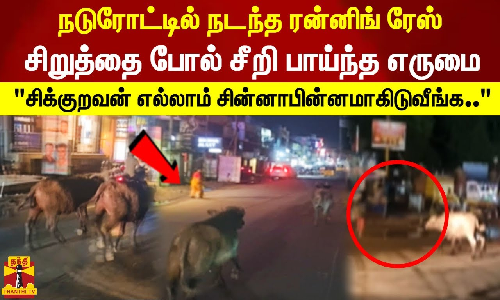 நடுரோட்டில் நடந்த ரன்னிங் ரேஸ்.. சீறி பாய்ந்த எருமை! சிக்குறவன் எல்லாம் சின்னாபின்னமாகிடுவீங்க..