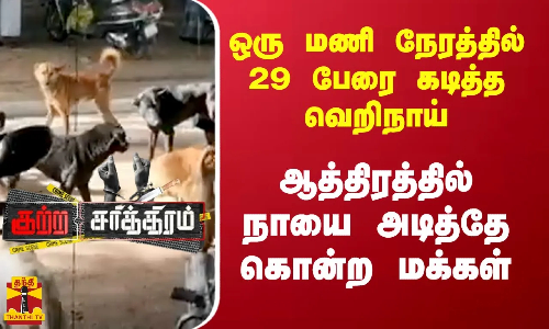 ஒரு மணி நேரத்தில் 29 பேரை கடித்த வெறிநாய்.. ஆத்திரத்தில் நாயை அடித்தே கொன்ற மக்கள்..