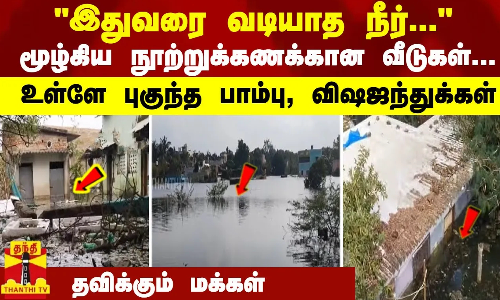வடியாத நீர்... மூழ்கிய வீடுகள்... உள்ளே புகுந்த பாம்பு, விஷஜந்துக்கள் - தவிக்கும் மக்கள் வடியாத நீர்... மூழ்கிய வீடுகள்... உள்ளே புகுந்த பாம்பு, விஷஜந்துக்கள் - தவிக்கும் மக்கள்