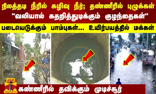 நிலத்தடி நீரில் கழிவு நீர்; தண்ணீரில் புழுக்கள்...  படையெடுக்கும் பாம்புகள்... கண்ணீரில் மக்கள்
