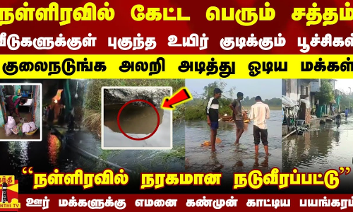 நள்ளிரவில் கேட்ட சத்தம்வீடுகளுக்குள் புகுந்த பூச்சிகள்..குலைநடுங்க அலறி அடித்து ஓடிய மக்கள் நள்ளிரவில் கேட்ட சத்தம்வீடுகளுக்குள் புகுந்த பூச்சிகள்..குலைநடுங்க அலறி அடித்து ஓடிய மக்கள்
