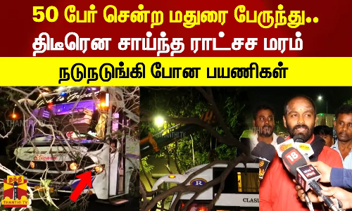 50 பேர் சென்ற மதுரை பேருந்து.. திடீரென சாய்ந்த ராட்சச மரம்.. நடுநடுங்கி போன பயணிகள்