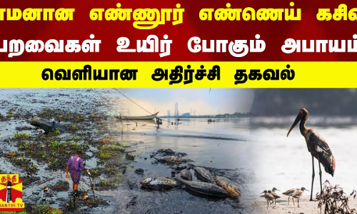 எமனான எண்ணூர் எண்ணெய் கசிவு..  பறவைகள் உயிர் போகும் அபாயம் - வெளியான அதிர்ச்சி தகவல்
