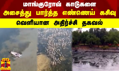 மாங்குரோவ் காடுகளைஅசைத்து பார்த்த எண்ணெய் கசிவு - வெளியான அதிர்ச்சி தகவல்