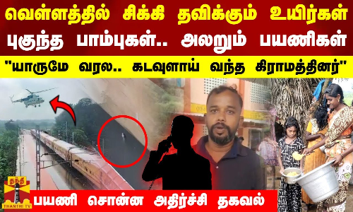 வெள்ளத்தில் சிக்கி தவிக்கும் உயிர்கள்..புகுந்த பாம்புகள் அலறும் பயணிகள்.. பயணி சொன்ன அதிர்ச்சி தகவல்