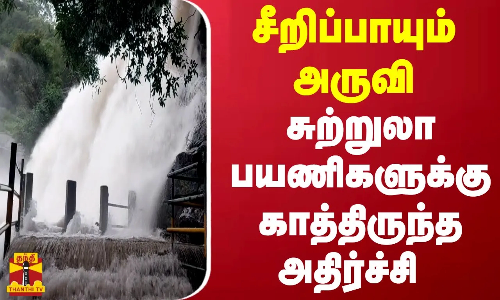 சீறிப்பாயும் அருவி.. சுற்றுலா பயணிகளுக்கு காத்திருந்த அதிர்ச்சி..