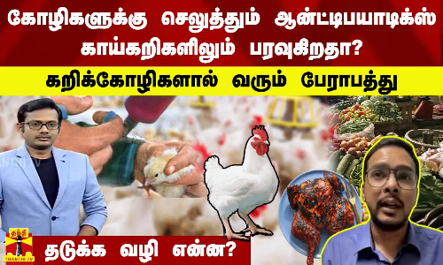 கோழிகளுக்கு செலுத்தும் ஆன்ட்டிபயாடிக்ஸ் காய்கறிகளிலும் பரவுகிறதா?.. தடுக்க வழி என்ன?