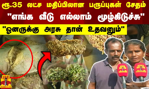 ரூ.35 லட்ச மதிப்பிலான பருப்புகள் சேதம்..ஓனருக்கு அரசு தான் உதவனும் சோகத்தில் பணியாளர்கள்